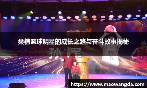 桑植篮球明星的成长之路与奋斗故事揭秘