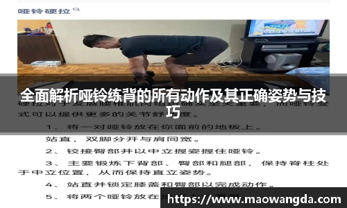全面解析哑铃练背的所有动作及其正确姿势与技巧