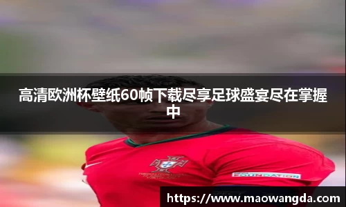 高清欧洲杯壁纸60帧下载尽享足球盛宴尽在掌握中